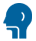 Ear, Nose and Throat (Otorhinolaryngology)