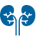 Internal Medicine (General) / Nephrology