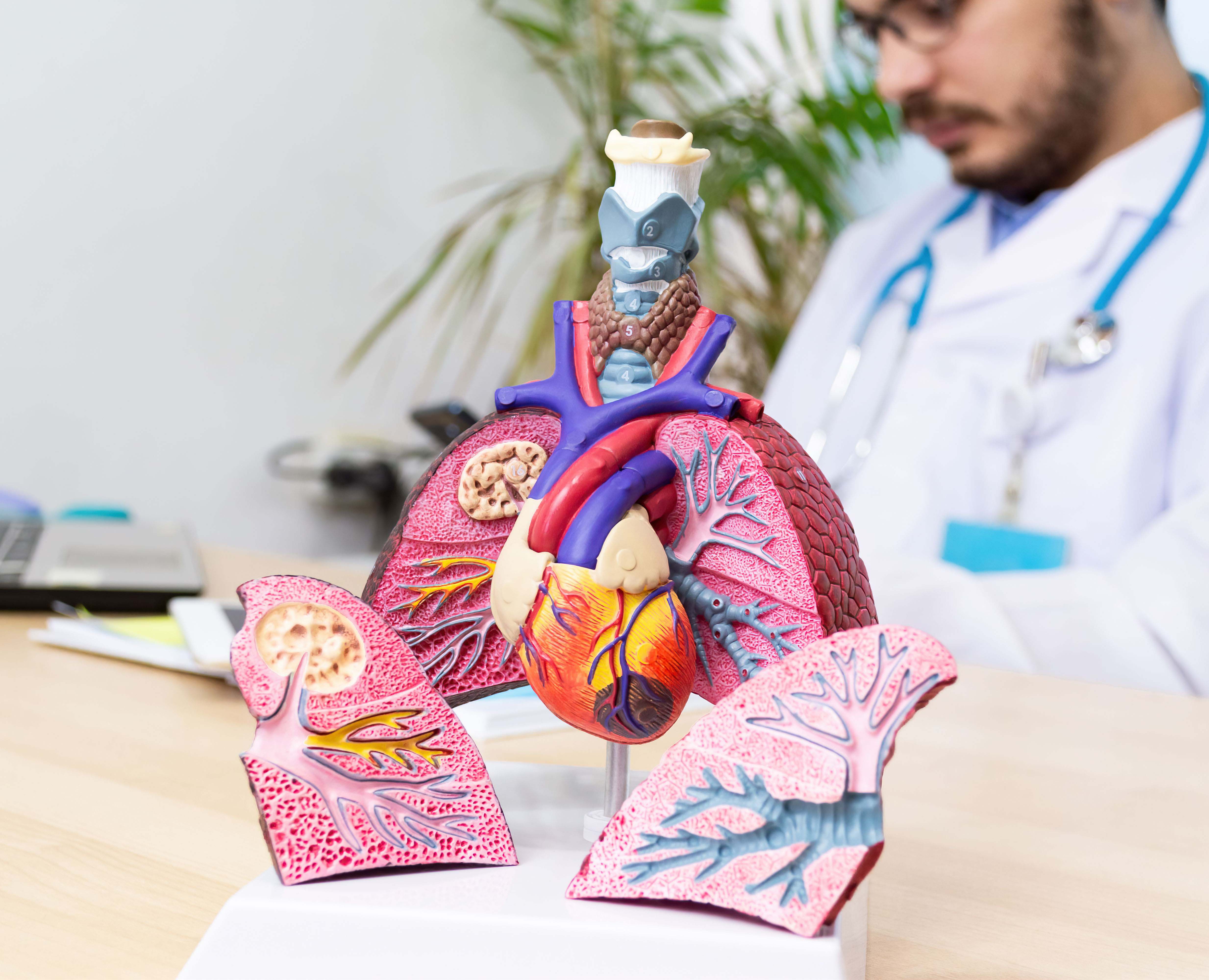 Valve Diseases